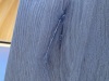 Thumbnail IMG_0134.jpg 