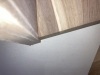 Thumbnail IMG_0140.jpg 