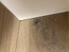 Thumbnail IMG_0156.jpg 